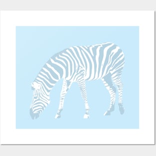 Blue zebra Posters and Art